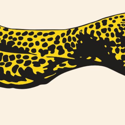 AR CHEETAH 12 RC Thumbnail