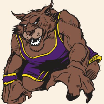 AR WILDCAT 23 RC Thumbnail