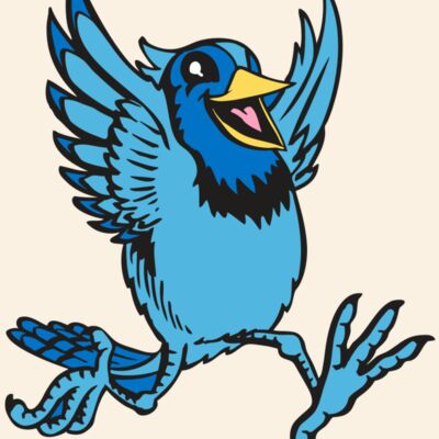 BAW BLUEJAY 09 RC Thumbnail