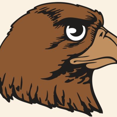 BAW HWK FLCN 05 RC Thumbnail