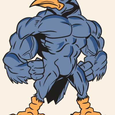 AR13 BLUEJAY 03 RQC Thumbnail