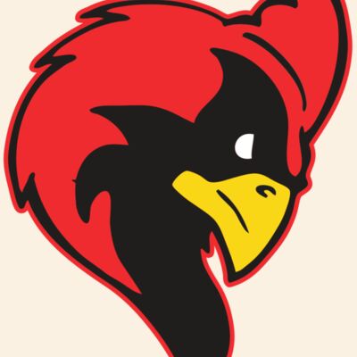 AR CARDINAL 24 RC Thumbnail