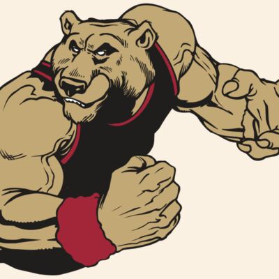 AR BEAR 40 RC Thumbnail