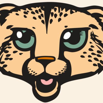 BAW CHEETAH 18 RC Thumbnail