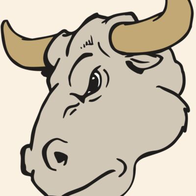 AR BULL 25 RC Thumbnail