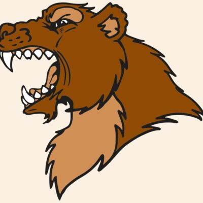 AR BEAR 22 RC Thumbnail