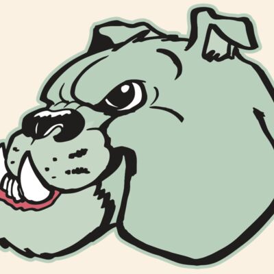 AR BDOG 29 RC Thumbnail