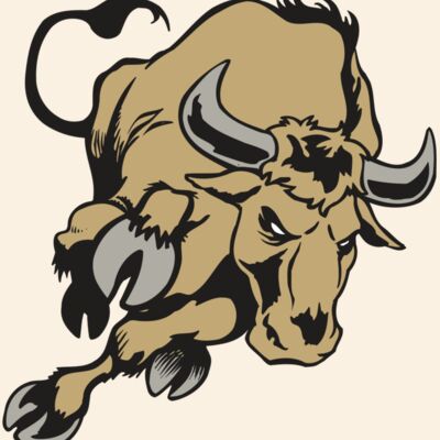 AR BULL 51 RC Thumbnail