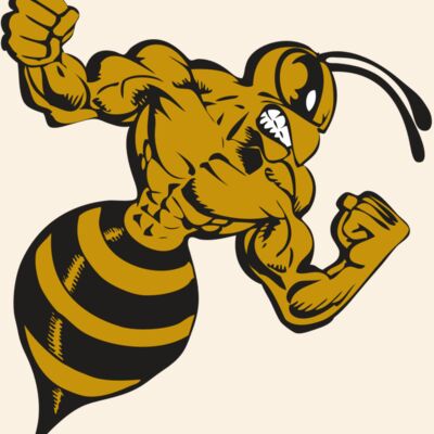 BAW BEE 01 RC Thumbnail