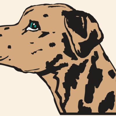 AR2 OTHER 03 RQC Thumbnail