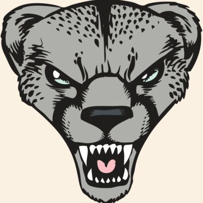 BAW CHEETAH 15 RC Thumbnail