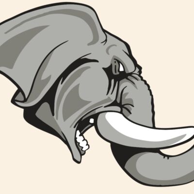 AR ELEPH 20 RC Thumbnail