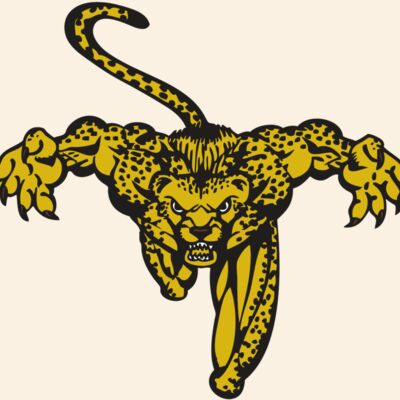 BAW CHEETAH 08 RC Thumbnail