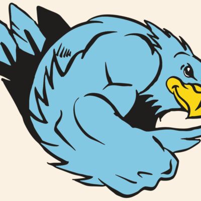 AR HAWK 24 RC Thumbnail