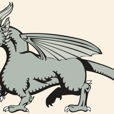 BAW DRAGON 20 RC Thumbnail