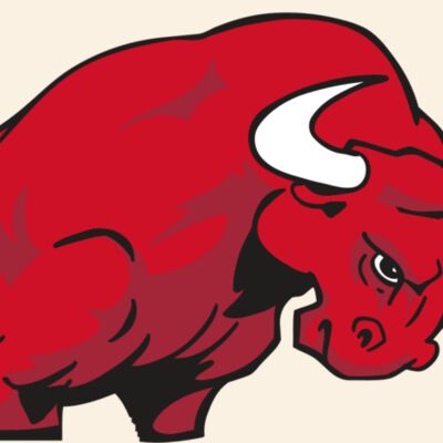 AR BULL 12 RC Thumbnail