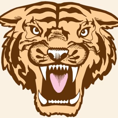 BAW TIGER 05 RC Thumbnail
