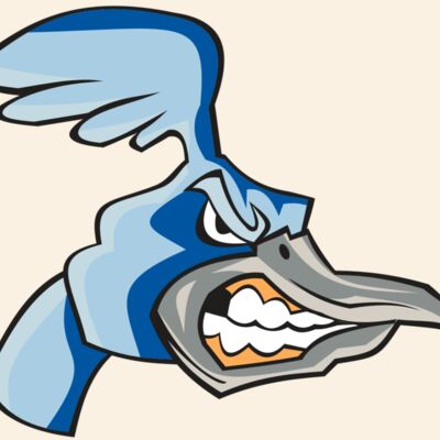 ROADRUNNER HD0503 RQC Thumbnail