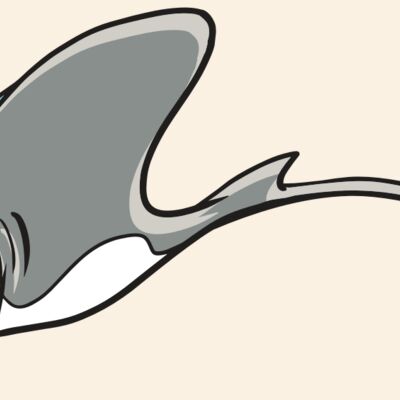 AR19 STINGRAY 01 RQC Thumbnail