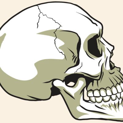 AR24 SKULL 12 RQC Thumbnail