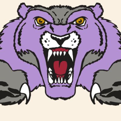 AR WOLVERINE 17 RC Thumbnail