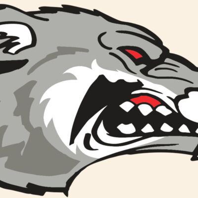 AR WOLVERINE 13 RC Thumbnail