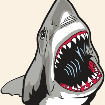 AR20 SHARK 45 RQC Thumbnail