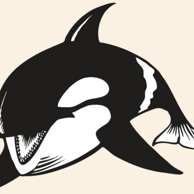 BAW KLRWHALE 04 RC Thumbnail