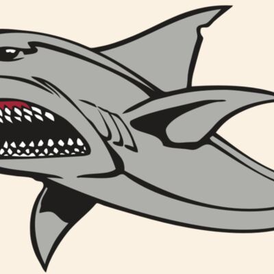 BAW SHARK 03 RC Thumbnail