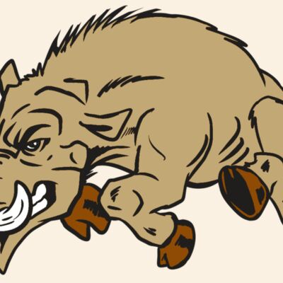 AR20 RAZORBACK 37 RQC Thumbnail