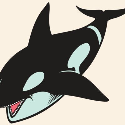 BAW KLRWHALE 02 RC Thumbnail