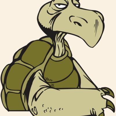 AR5 Turtle 01 RQC Thumbnail