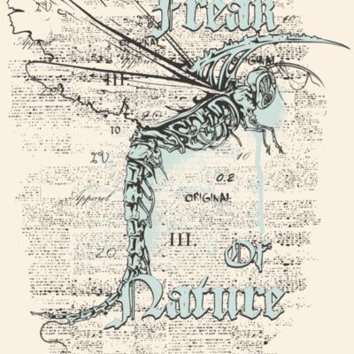 designious t shirt design 361 Thumbnail